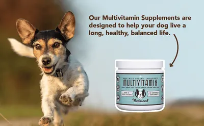 Secondary Images for NATURAL DOG COMPANY INF PET 23