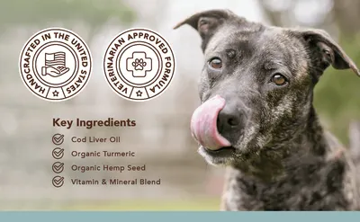 Secondary Images for NATURAL DOG COMPANY INF PET 25