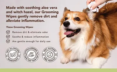 Secondary Images for NATURAL DOG COMPANY INF PET 3