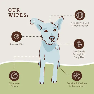 Secondary Images for NATURAL DOG COMPANY INF PET 5