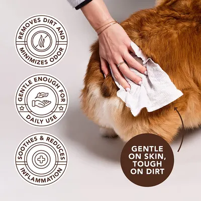 Secondary Images for NATURAL DOG COMPANY INF PET 6