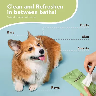 Secondary Images for NATURAL DOG COMPANY INF PET 8