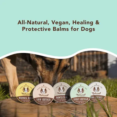Brand Store for NATURAL DOG COMPANY STORE PET 3