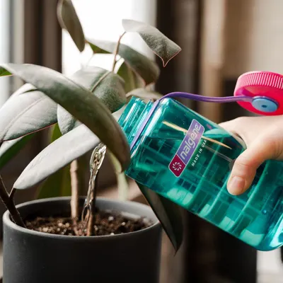 Lifestyle Images for Nalgene Outdoor LIF 3