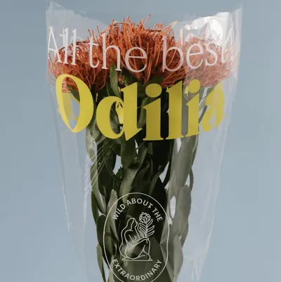 Lifestyle Images for Odilia
