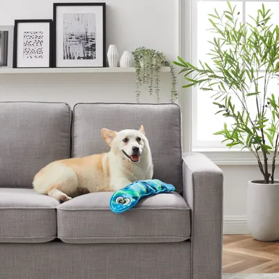 Lifestyle Images for Outward Hound 10