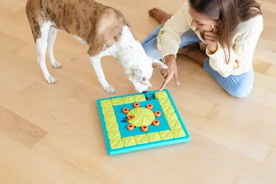 UGC Images for Outward Hound 11
