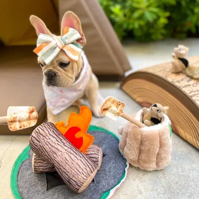 Lifestyle Images for Outward Hound 5