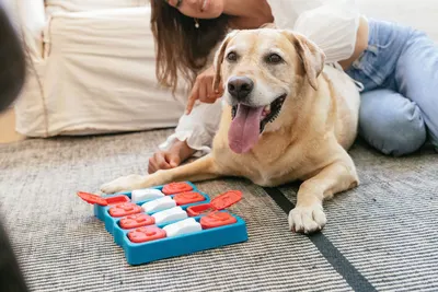 UGC Images for Outward Hound 7