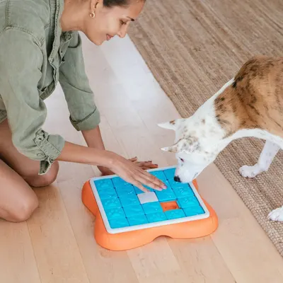 UGC Images for Outward Hound 9