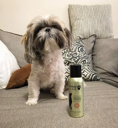 Lifestyle Images for PAWFUME LIF PET 1