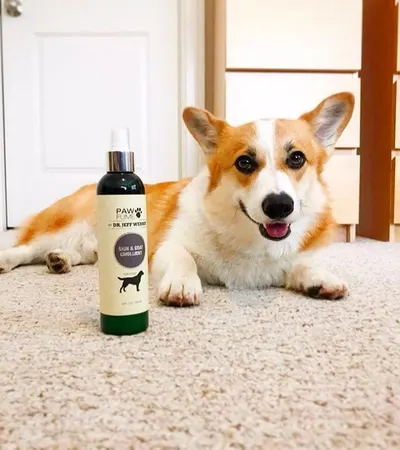 Lifestyle Images for PAWFUME LIF PET 2