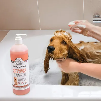 Lifestyle Images for PAWS AND PALS LIF PET 1
