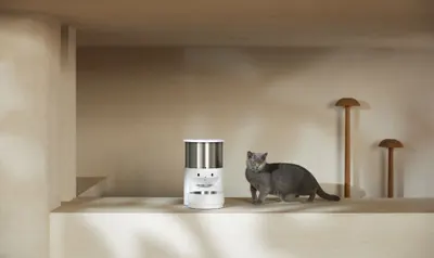 Lifestyle Images for PETKIT LIF PET 11