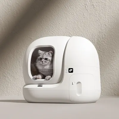 Lifestyle Images for PETKIT LIF PET 3