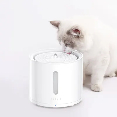 Lifestyle Images for PETKIT LIF PET 4