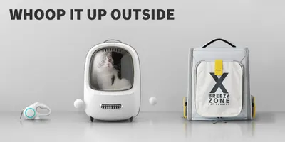 Lifestyle Images for PETKIT LIF PET 5