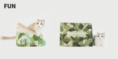 Lifestyle Images for PETKIT LIF PET 6