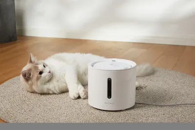 Lifestyle Images for PETKIT LIF PET 7