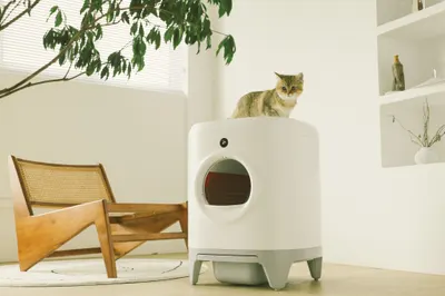Lifestyle Images for PETKIT LIF PET 8