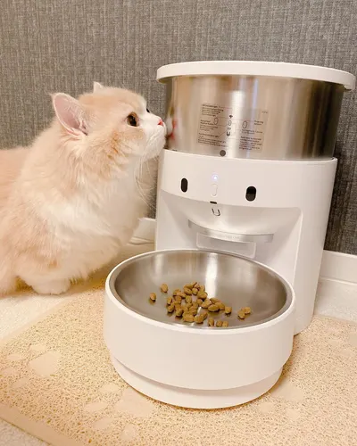 Lifestyle Images for PETKIT LIF PET 9