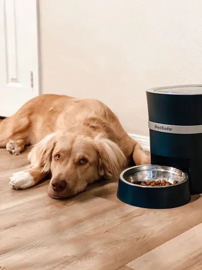 Lifestyle Images for PETSAFE LIF PET 1