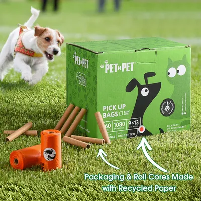 Secondary Images for PET N PET INF PET 1