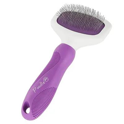 Product Main Images for POODLE PROD PET 2