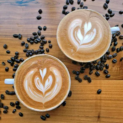 Lifestyle Images for Peet's Coffee 7