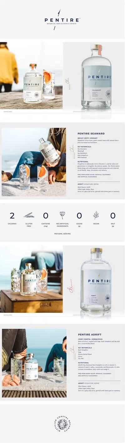 Basic A+ Content for Pentire 1