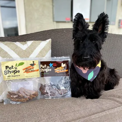 Lifestyle Images for Pet 'n Shape 15