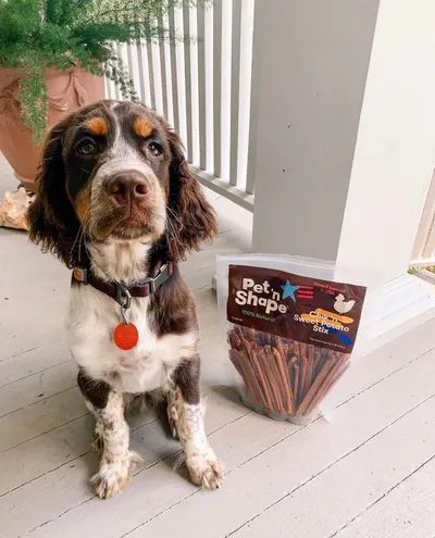 Lifestyle Images for Pet 'n Shape 4