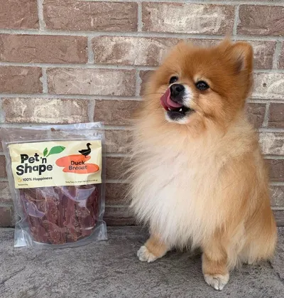 Lifestyle Images for Pet 'n Shape 7