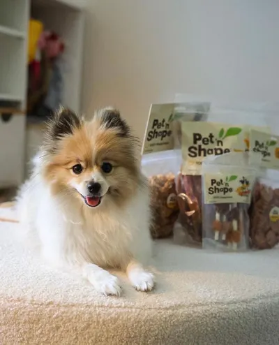 Lifestyle Images for Pet 'n Shape 9