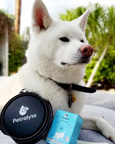 Lifestyle Images for Petralyte 4
