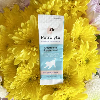 Lifestyle Images for Petralyte 6