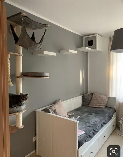 Lifestyle Images for Pet Decor