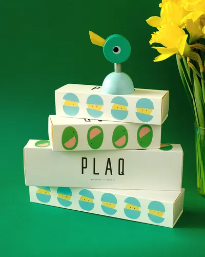 Secondary Images for Plaq 21