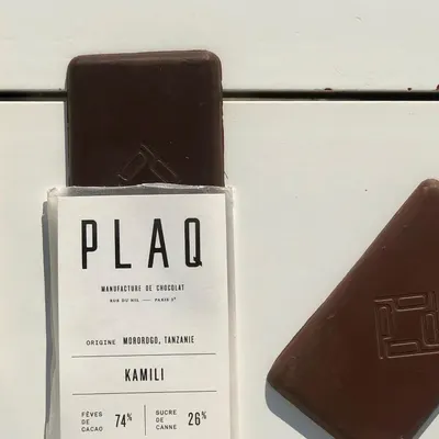 Secondary Images for Plaq 41