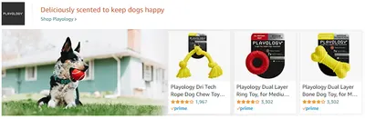 Sponsored Brands Ads for Playology