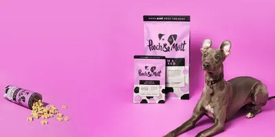 Secondary Images for Pooch and Mutt 25
