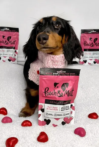 UGC Images for Pooch and Mutt 38