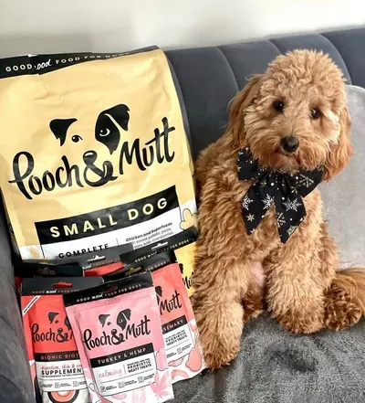 UGC Images for Pooch and Mutt 41
