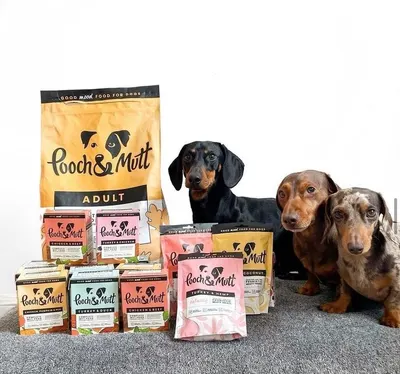 Lifestyle Images for Pooch and Mutt 46