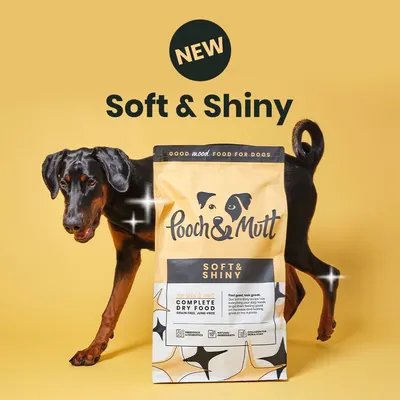 Secondary Images for Pooch and Mutt 54