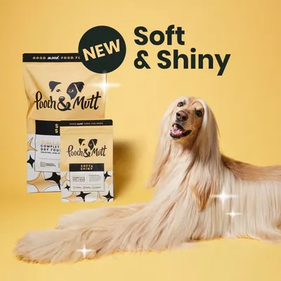 Secondary Images for Pooch and Mutt 56