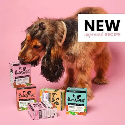 Secondary Images for Pooch and Mutt 61