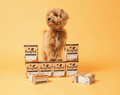 Secondary Images for Pooch and Mutt 63