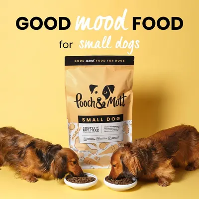 Secondary Images for Pooch and Mutt 64