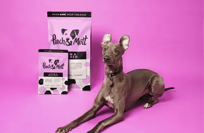 Secondary Images for Pooch and Mutt 72